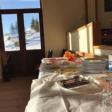 Bora Popova Shapka